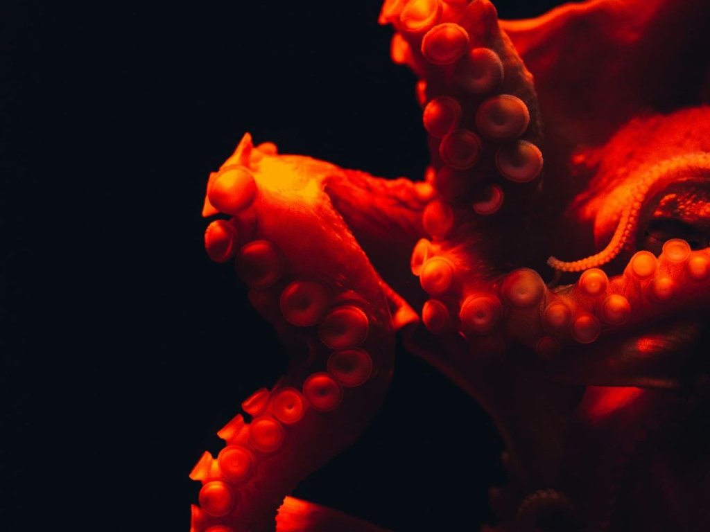 Deep-Sea Exploration: The discovery of unique ecosystems around hydrothermal vents.